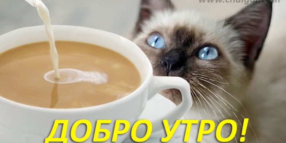 Добро утро и хубав ден!